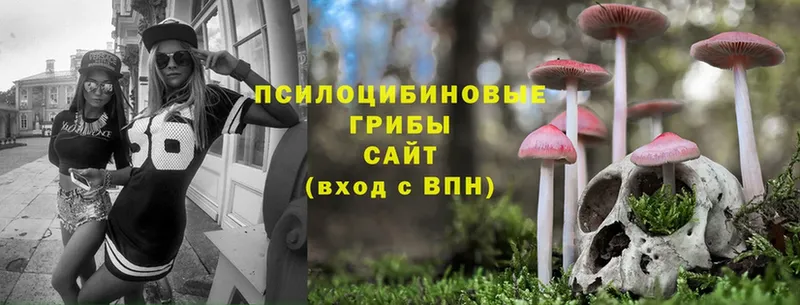 нарко площадка как зайти  что такое наркотик  Кимовск  Псилоцибиновые грибы Cubensis 